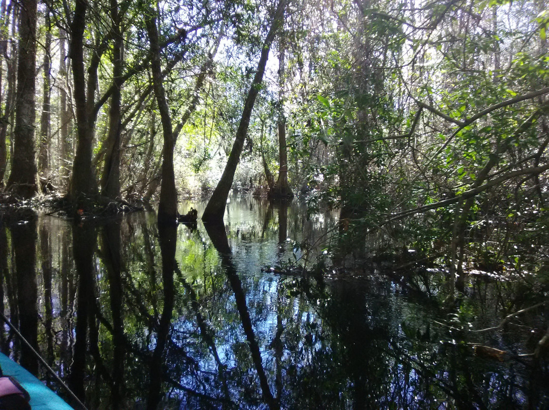 Griffis Fish Camp-Fargo必去景点