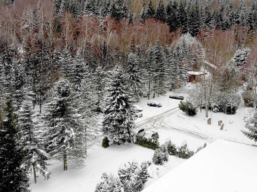 Ferienhotel Markersbach主图