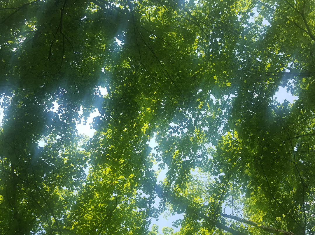 O'Bannon Woods State Park-Corydon必去景点