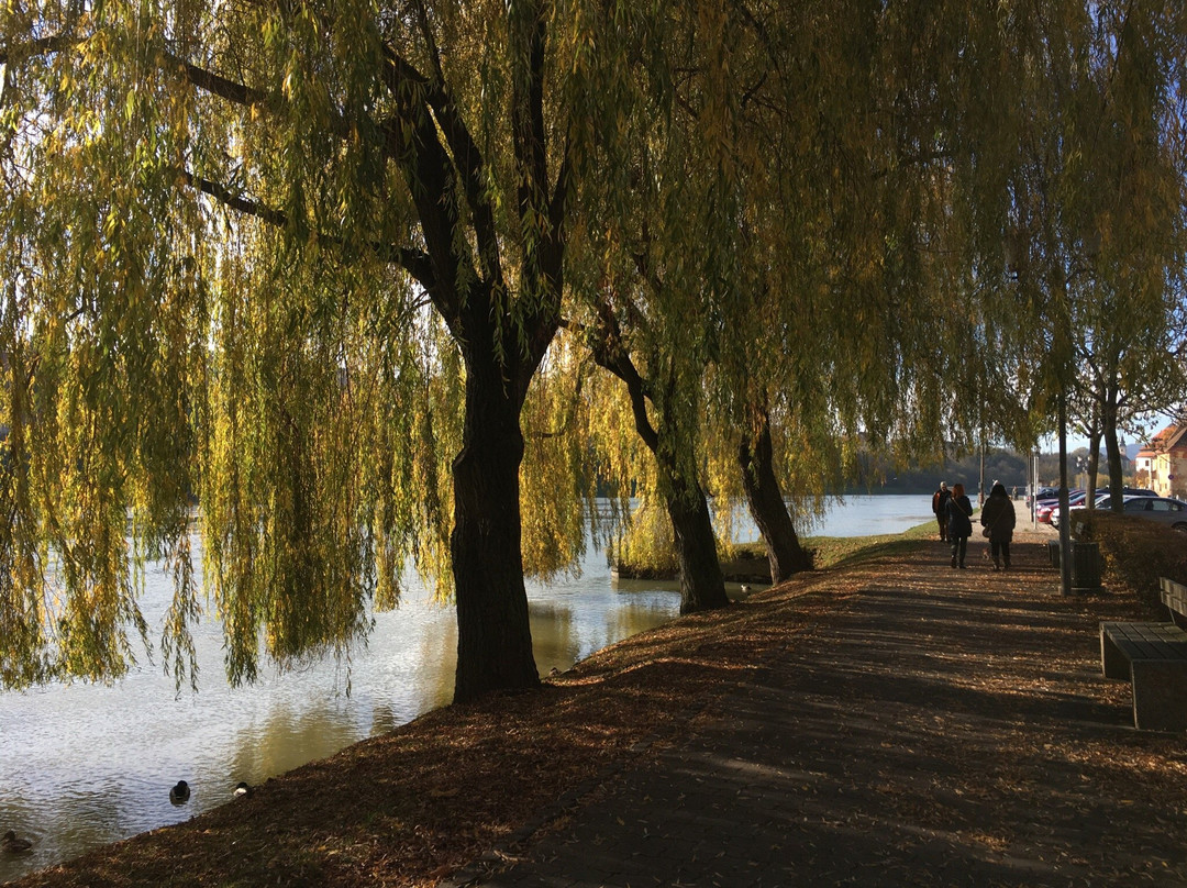 Lent - the Oldest Part of the City of Maribor-马里博尔必去景点