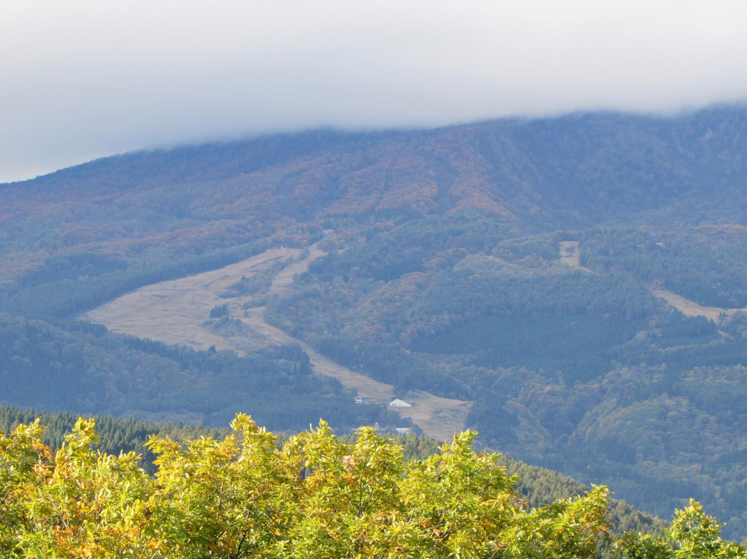 Breezbay Resort Kurohime主图