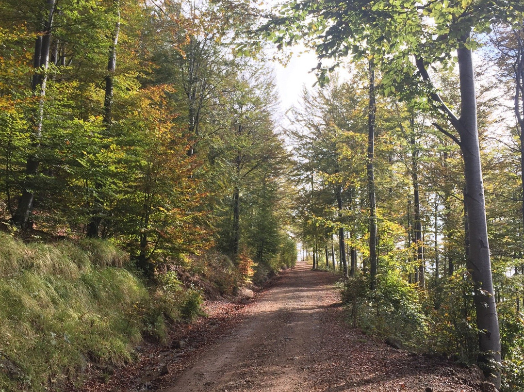 Parco Regionale dell'Aveto-Borzonasca必去景点