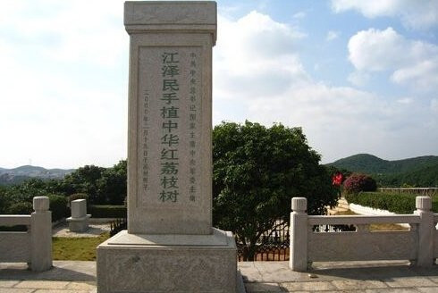 高州根子荔枝文化旅游区景点图片