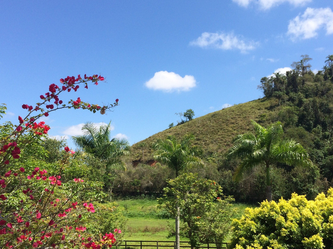 Fazenda Resgate景点图片