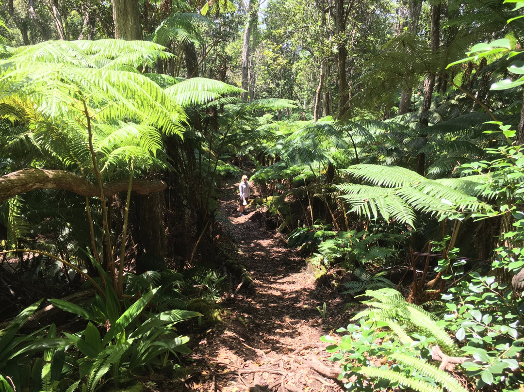 Maka’ula ‘O’oma Tract-凯鲁瓦-柯纳必去景点