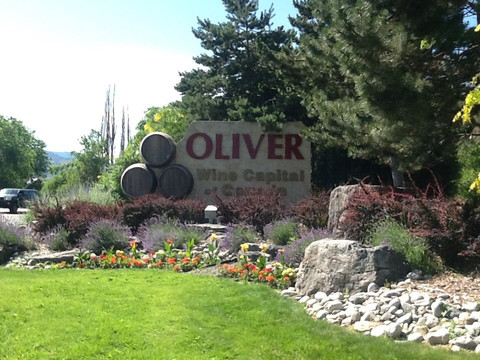 Willowbrook酒店住宿-VIntage Merlot Bed and Breakfast