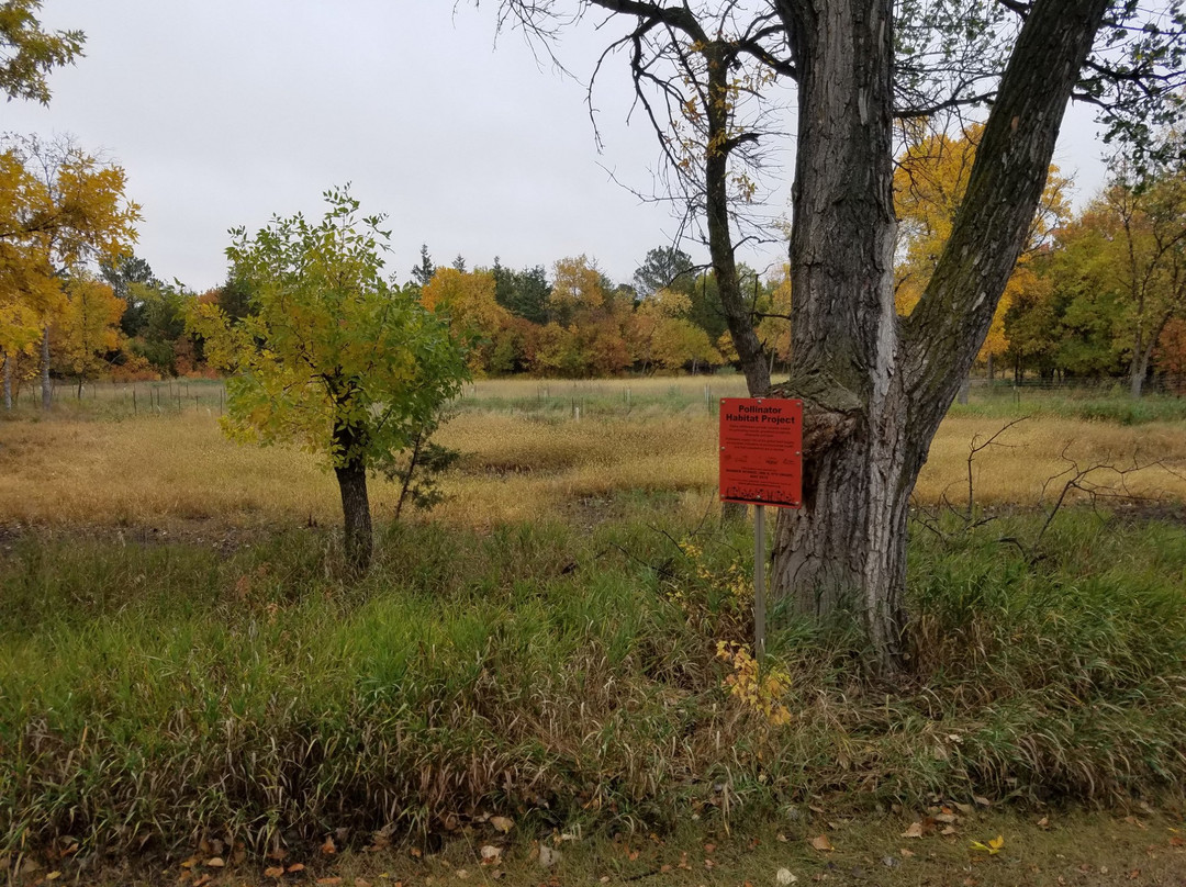 Richmond Lake Recreation Area景点图片