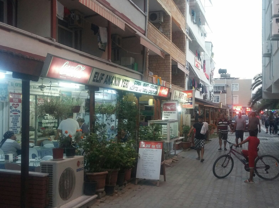Meşhur Mantıcı Elif Ana