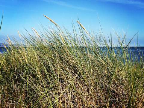 Blackpill Lido-斯温西必去景点