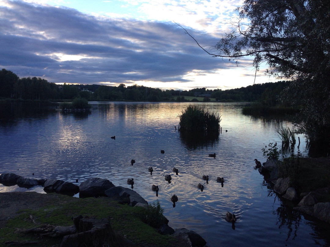 Finstadjordet旅游景点-Ostensjovannet Lake