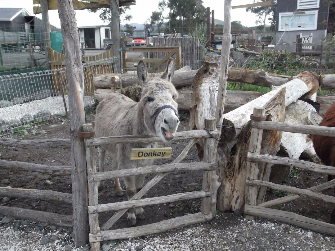Fyffe View Ranch Adventure Park-Kaikoura必去景点