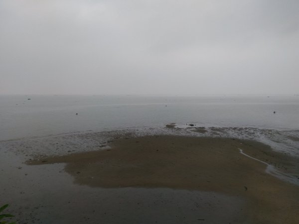 北海富丽华大酒店-泳池