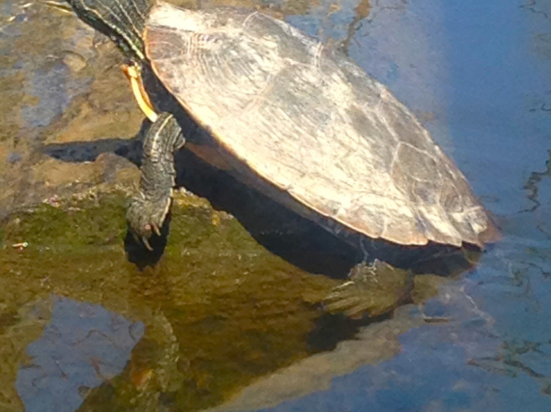 Pentwater Outfitters-Pentwater必去景点