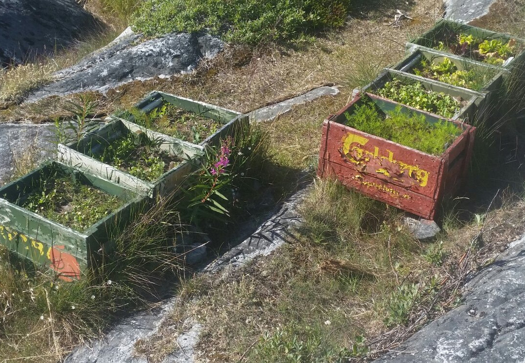 Qoornoq-努克必去景点