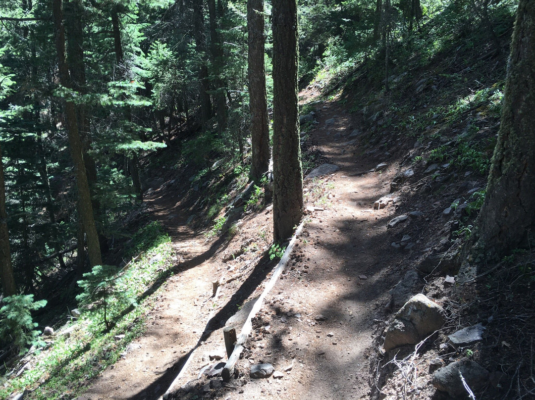 Pino Canyon-Tijeras必去景点