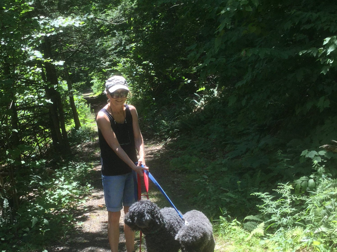 Penwood State Park-Bloomfield必去景点