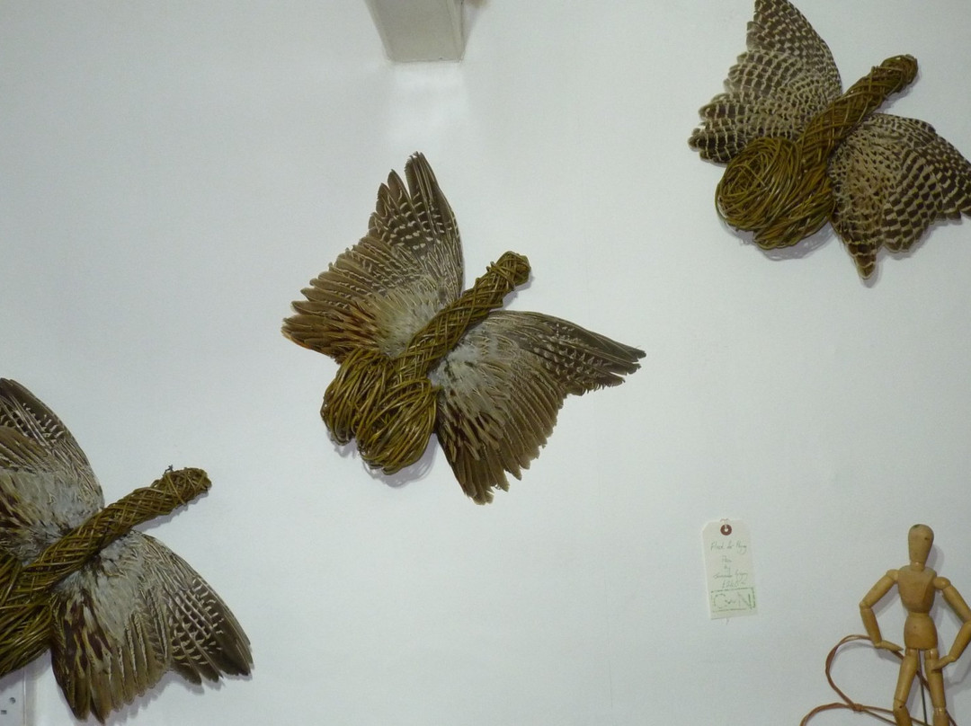 Creative with Nature Gallery景点图片