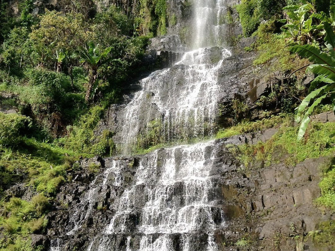 Bridalveil Falls景点图片