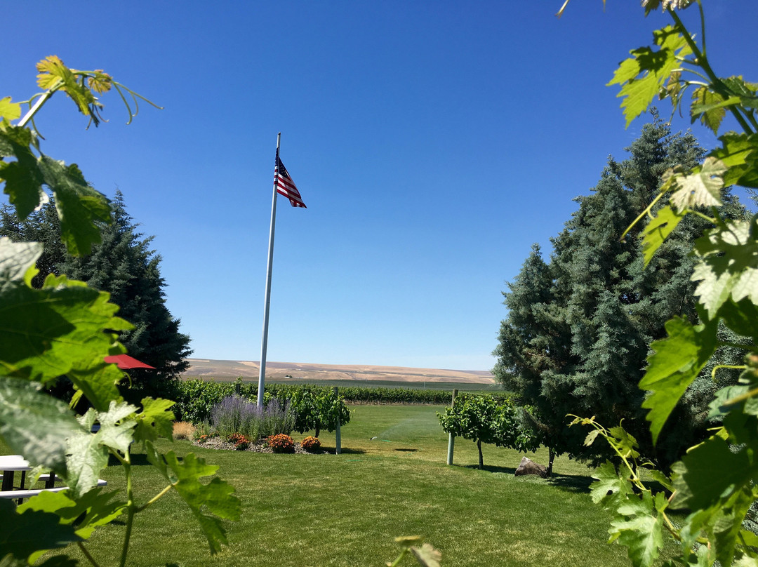 Goose Ridge Winery-Richland必去景点