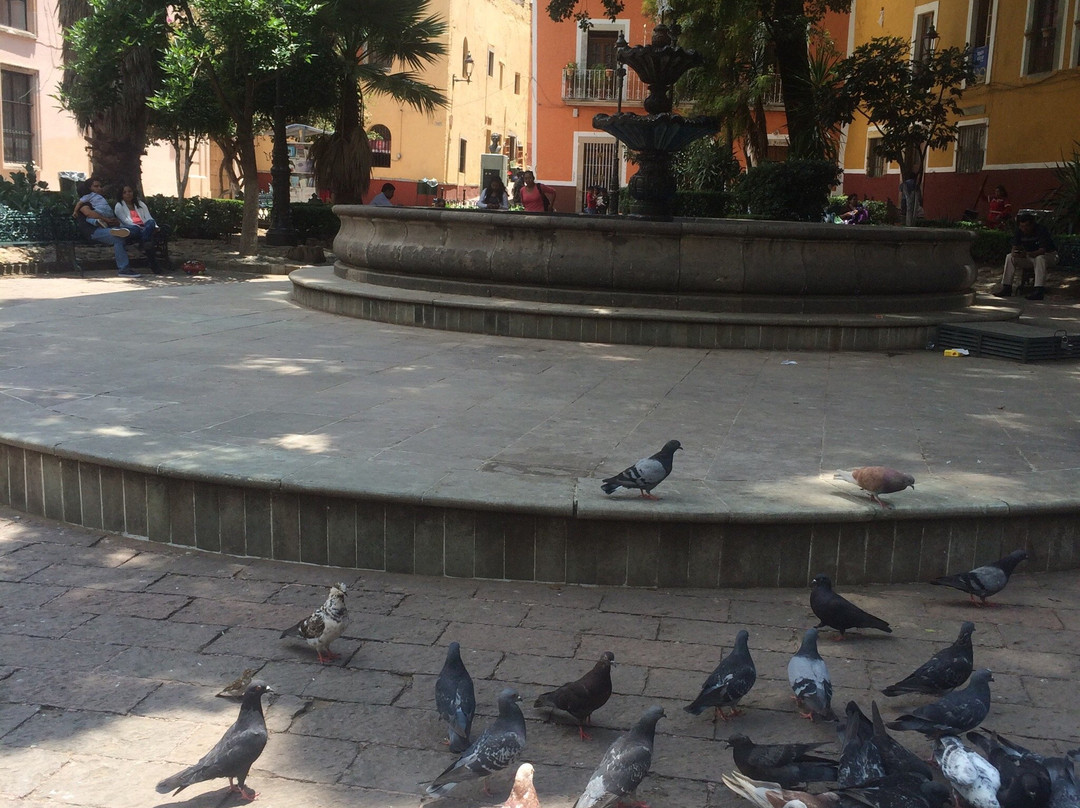 Jardín Reforma-瓜纳华托必去景点