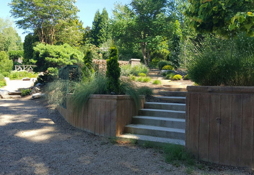 UNC Charlotte Botanical Gardens-夏洛特必去景点