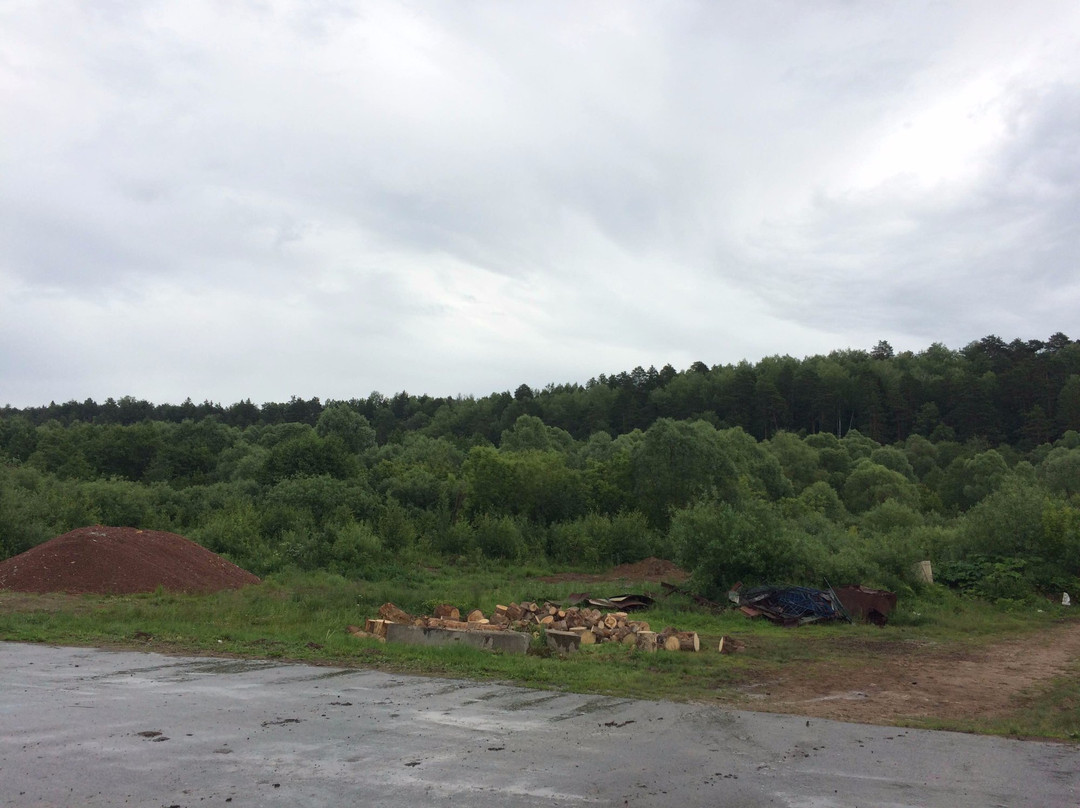 Shorunzha旅游景点-Church in The Name of St. Euthymius The Great and St. Tikhon