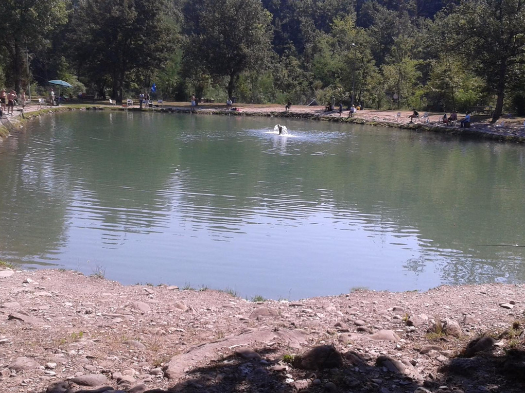 Laghetto Ponte Vecchio景点图片