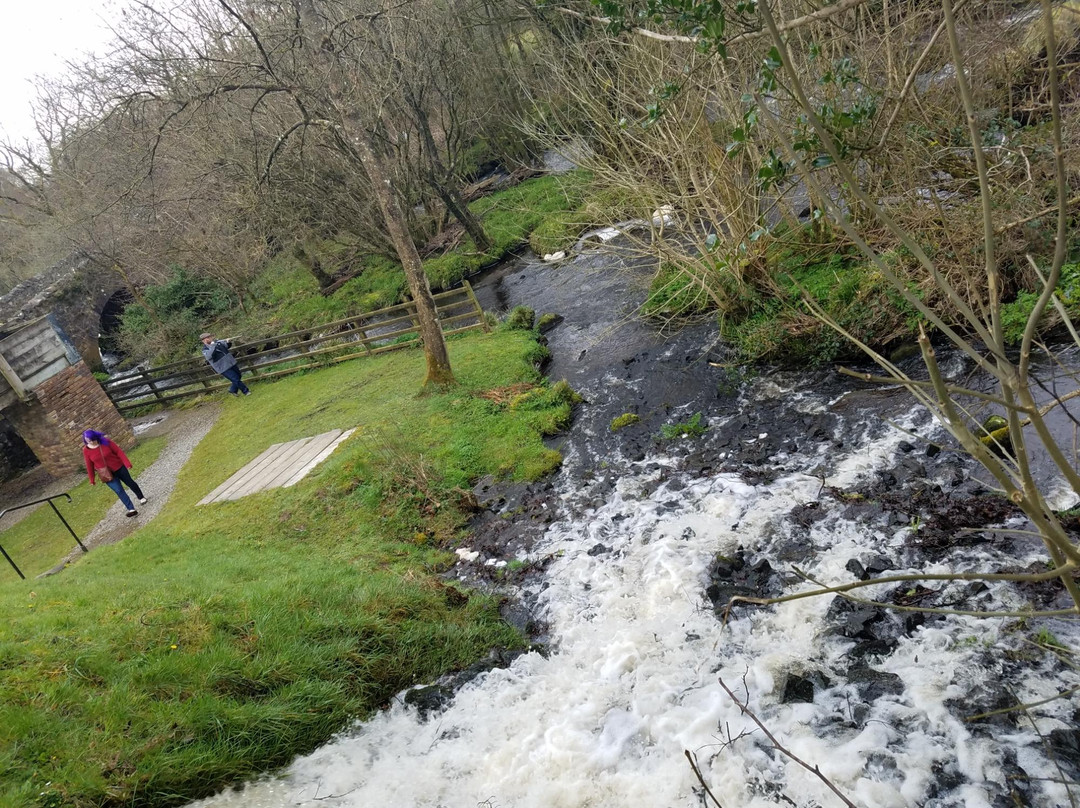 Wellbrook Beetling Mill-Cookstown必去景点