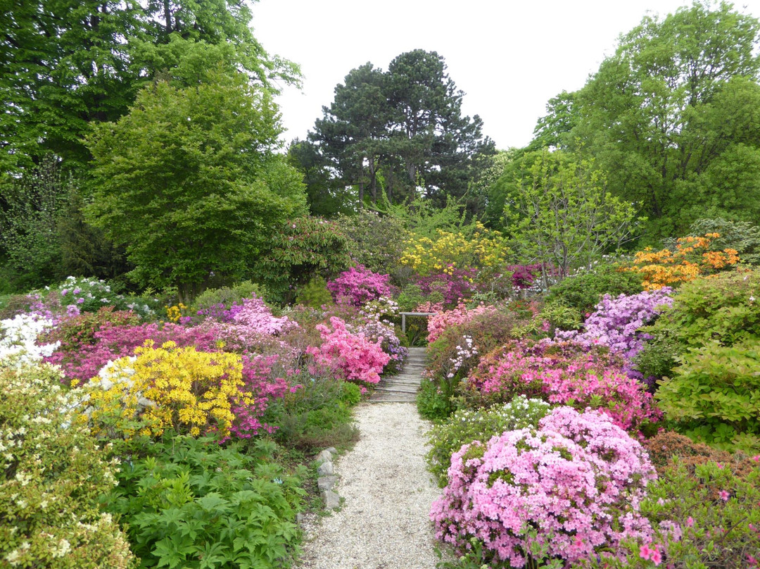 Botanischer Garten (Botanical Garden of the University of Vienna)-维也纳必去景点