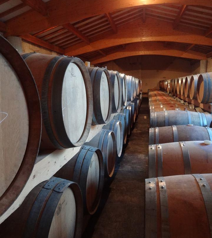 Chateau Haut-Garriga景点图片