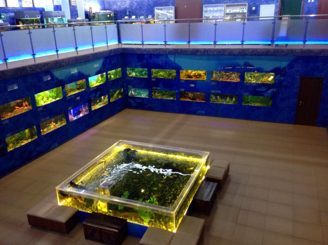 Aquarium Exhibit Hall-车里雅宾斯克必去景点