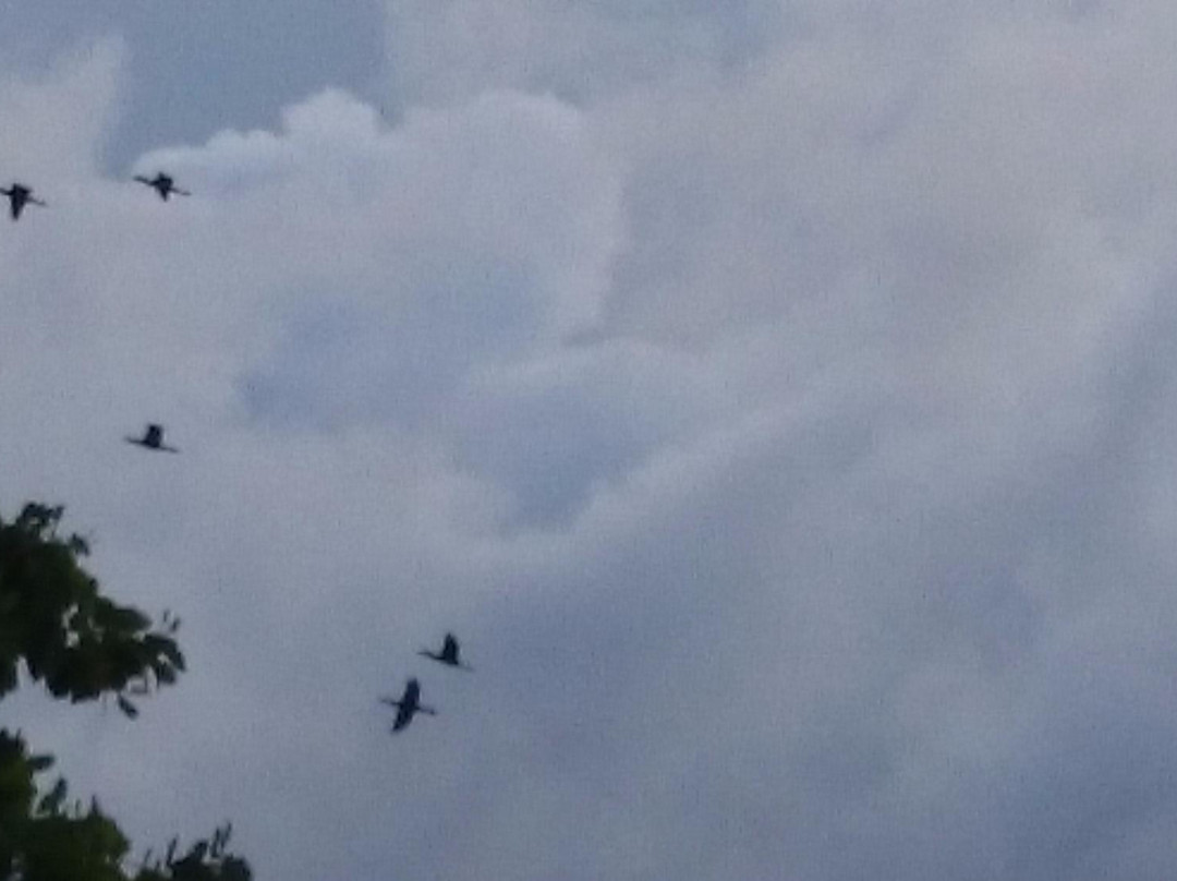 Maruda Beach-Algodoal必去景点