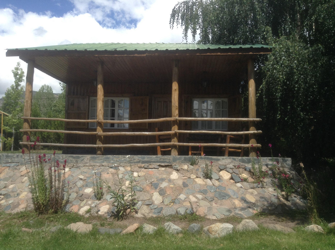 Alto Potrerillos主图