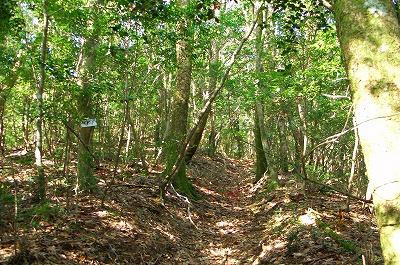 Mt. Imanoyama-三原村必去景点