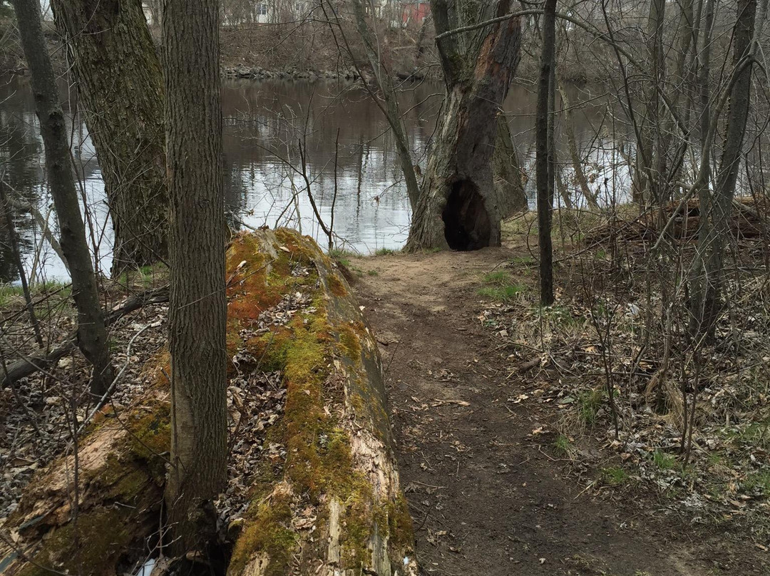 Isle of Ferns Park-Wausau必去景点