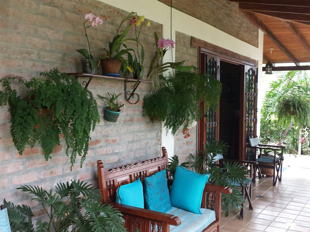 Casa Kite
