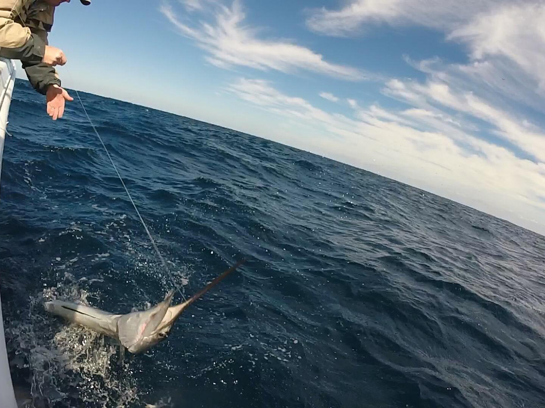 Lawless Sport Fishing Charters-Palm Beach Shores必去景点