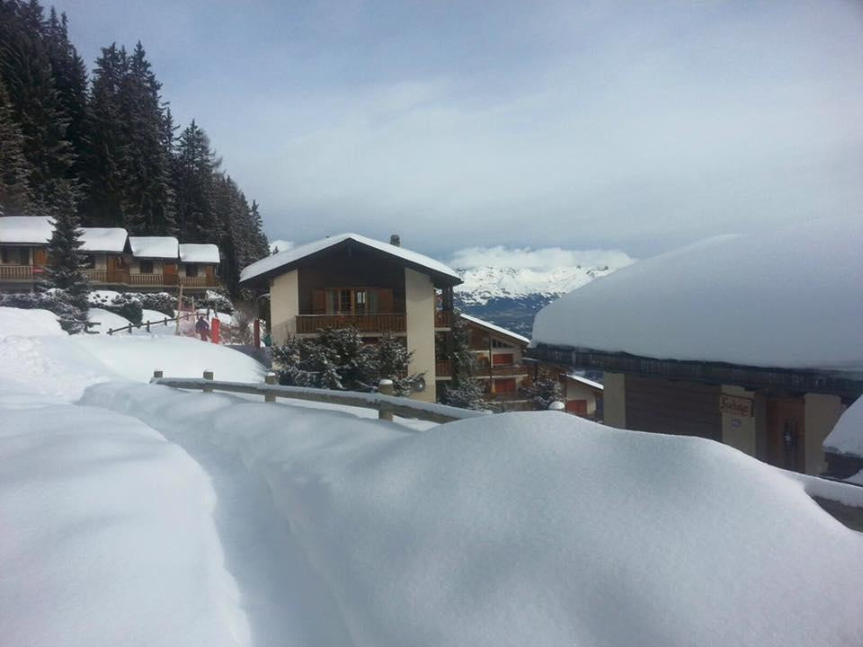 Chalets Muraz I主图