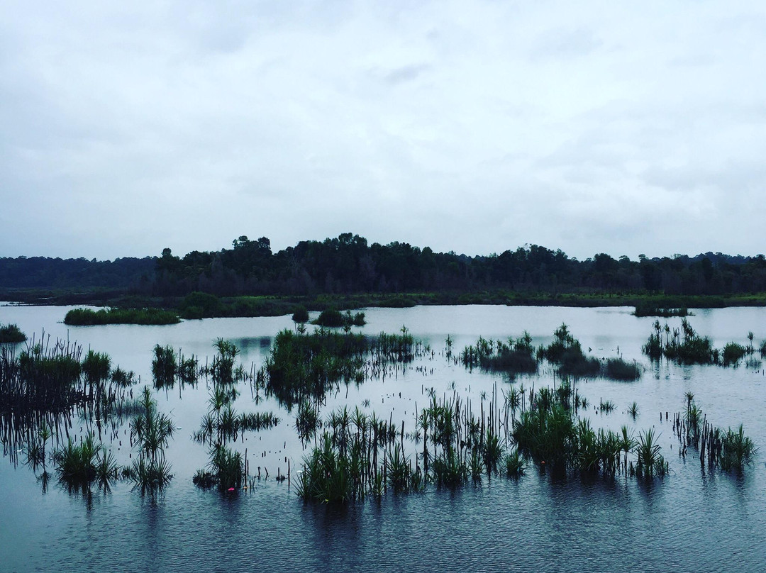 Tasek Bera-而连突必去景点