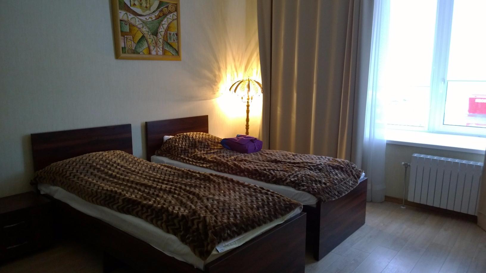 Tsentralnaya Inn-客卧