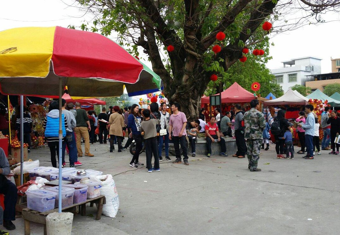 何仙姑家庙-增城市必去景点