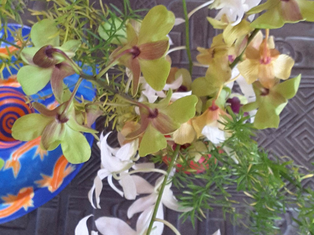 Your Hawaiian Retreat主图