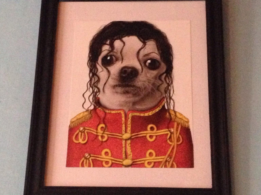 Museo del Humor-科洛尼亚·德尔萨克拉门托城必去景点