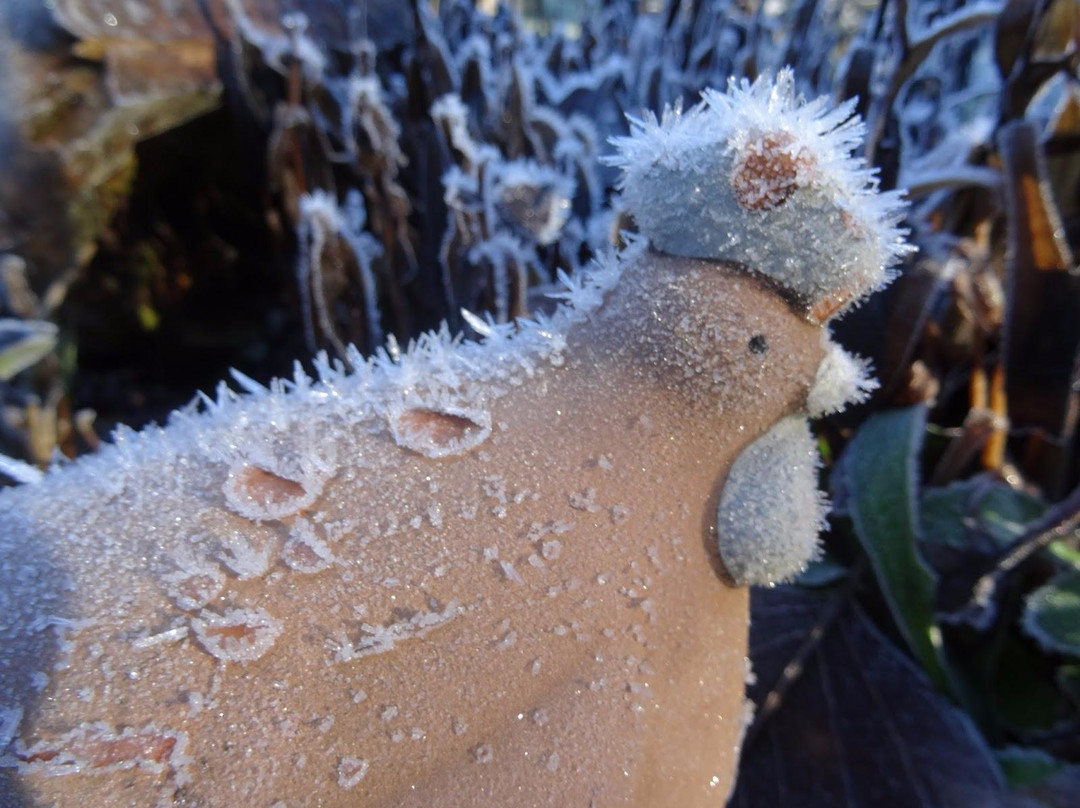 Stephen's Creek Guest House主图