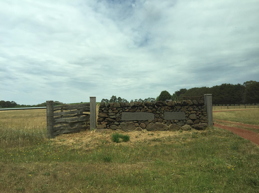 Captains Creek Organic Wines-Blampied必去景点