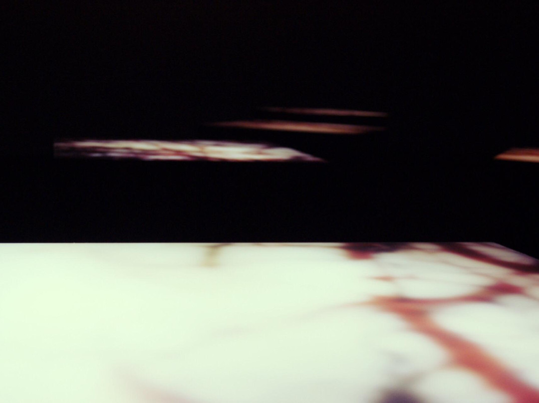 BWA Contemporary Art Gallery (Galeria Sztuki Wspolczesnej BWA)-卡托维兹必去景点