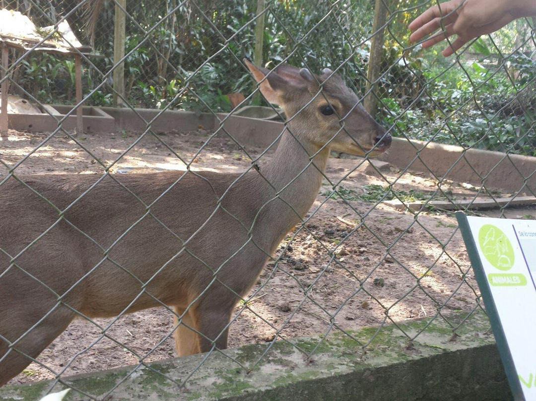 Parque Ecologico Yvaga Guazu - Paraiso Grande-圣克鲁斯省必去景点