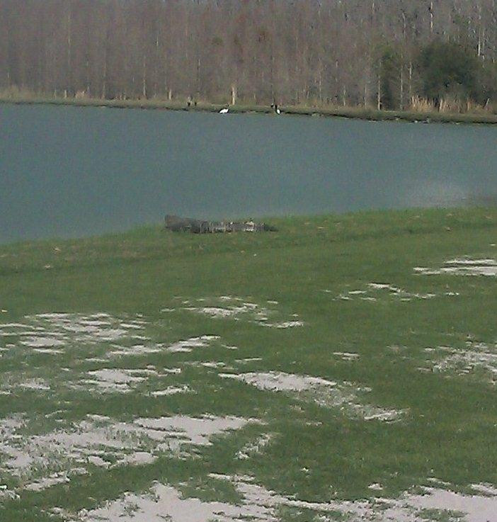 Lexington Oaks Golf Club-卫斯理堂必去景点