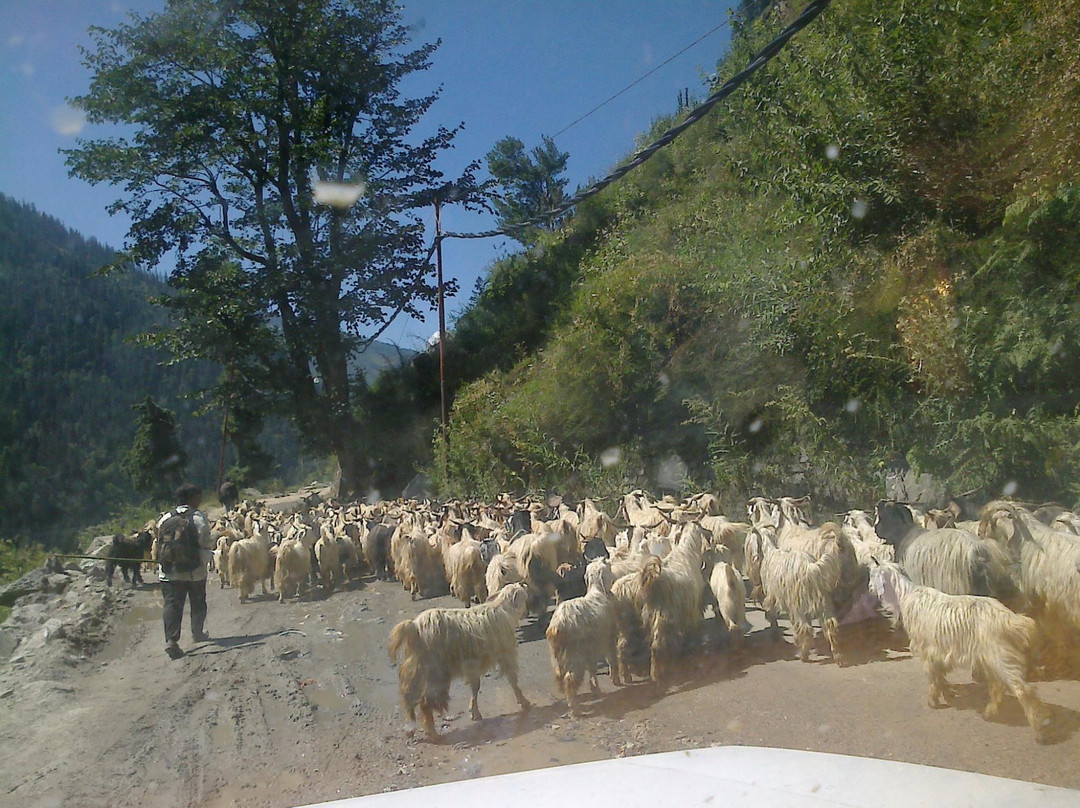 Himvalley Manali Amusement & Culture Park景点图片