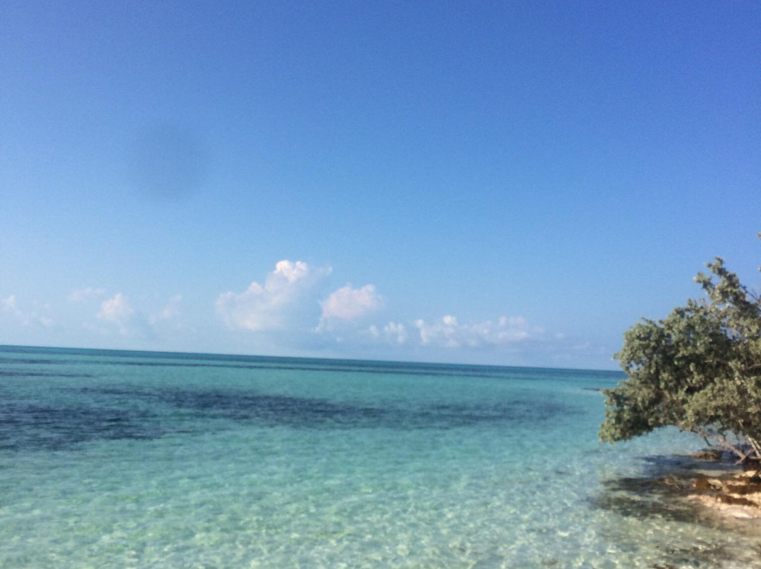 Coco Cay-Berry Islands必去景点
